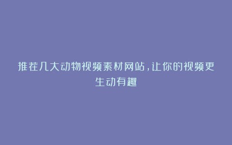 推荐几大动物视频素材网站，让你的视频更生动有趣