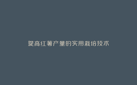 提高红薯产量的实用栽培技术