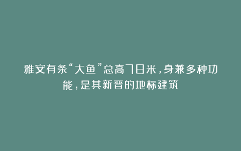 雅安有条“大鱼”总高78米，身兼多种功能，是其新晋的地标建筑