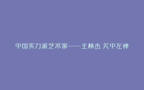 中国实力派艺术家——王林杰（关中左禅）