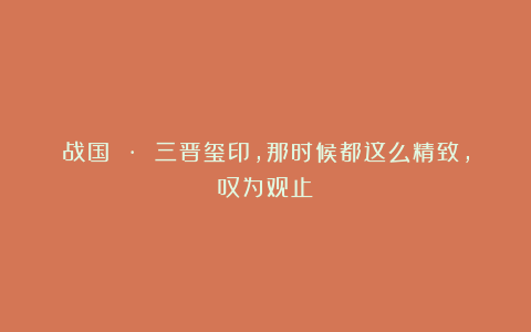 战国 · 三晋玺印，那时候都这么精致，叹为观止！