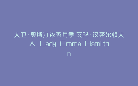 大卫·奥斯汀浓香月季|艾玛·汉密尔顿夫人 Lady Emma Hamilton