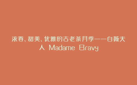 浓香、甜美、优雅的古老茶月季——白薇夫人 Madame Bravy