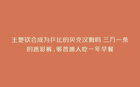 王楚钦会成为乒坛的贝克汉姆吗？三万一条的迷彩裤，够普通人吃一年早餐