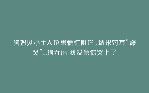 狗妈见小主人抢崽慌忙阻拦，结果对方“爆哭”…狗无语：我没急你哭上了？