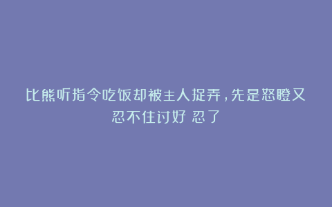 比熊听指令吃饭却被主人捉弄，先是怒瞪又忍不住讨好：忍了！