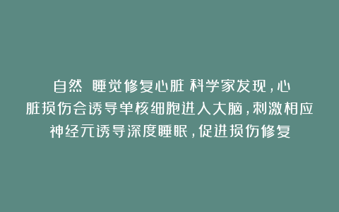 《自然》：睡觉修复心脏！科学家发现，心脏损伤会诱导单核细胞进入大脑，刺激相应神经元诱导深度睡眠，促进损伤修复