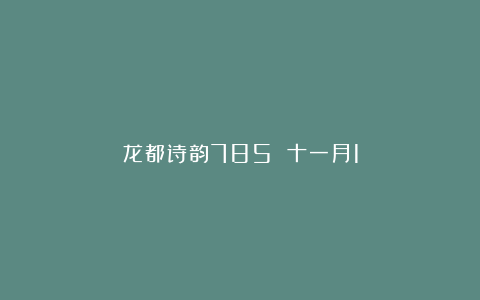 龙都诗韵785 十一月1