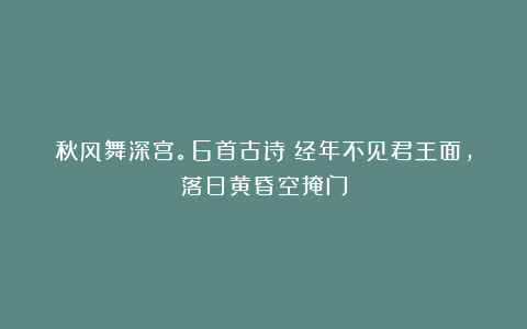 秋风舞深宫。6首古诗：经年不见君王面，落日黄昏空掩门