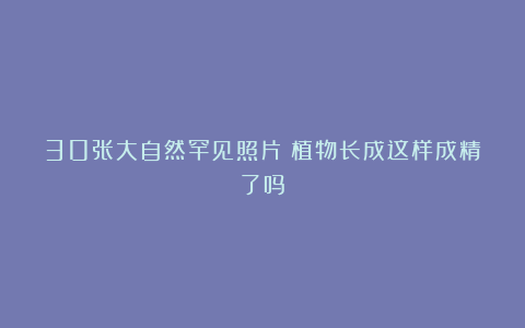 30张大自然罕见照片：植物长成这样成精了吗？