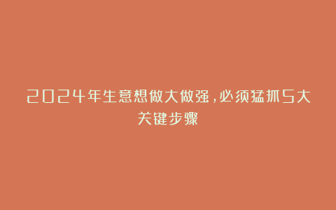 2024年生意想做大做强，必须猛抓5大关键步骤