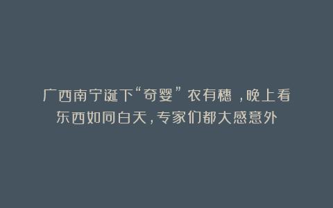 广西南宁诞下“奇婴”（农有穗），晚上看东西如同白天，专家们都大感意外