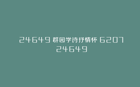 （24649）群园学诗抒情怀（6207）（24649）