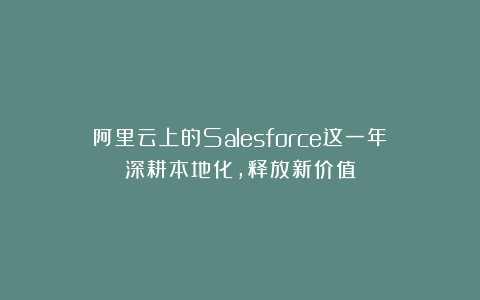 阿里云上的Salesforce这一年：深耕本地化，释放新价值