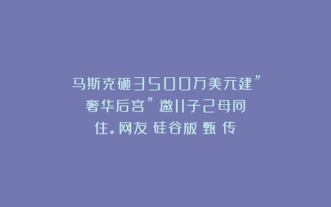 马斯克砸3500万美元建”奢华后宫”！邀11子2母同住。网友：硅谷版《甄嬛传》