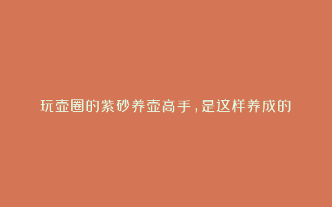 玩壶圈的紫砂养壶高手，是这样养成的！