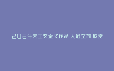 2024天工奖金奖作品《大道至简》欣赏