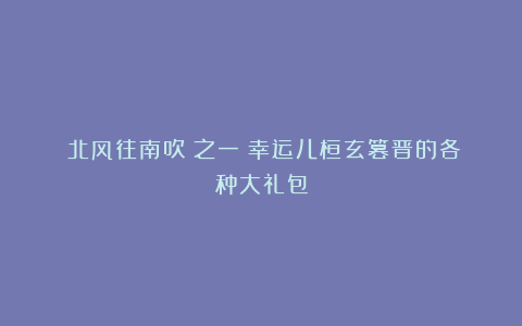 《北风往南吹》之一：幸运儿桓玄篡晋的各种大礼包