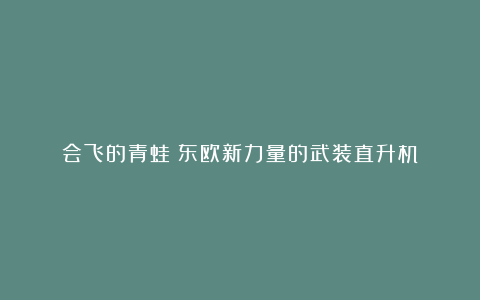 会飞的青蛙？东欧新力量的武装直升机