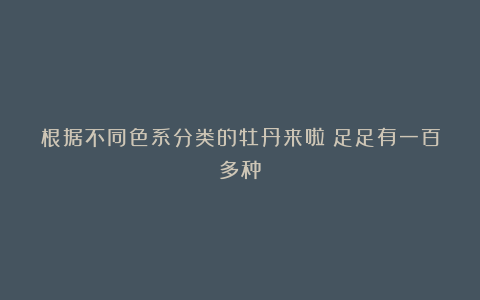 根据不同色系分类的牡丹来啦！足足有一百多种！