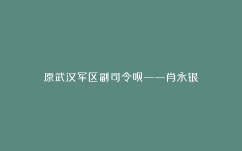 原武汉军区副司令员——肖永银