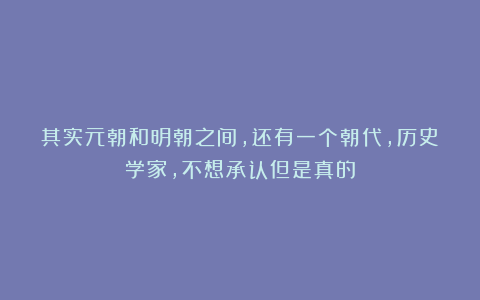 其实元朝和明朝之间，还有一个朝代，历史学家，不想承认但是真的