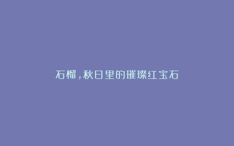 石榴，秋日里的璀璨红宝石