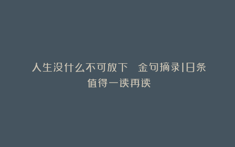 《人生没什么不可放下 》金句摘录18条！值得一读再读！