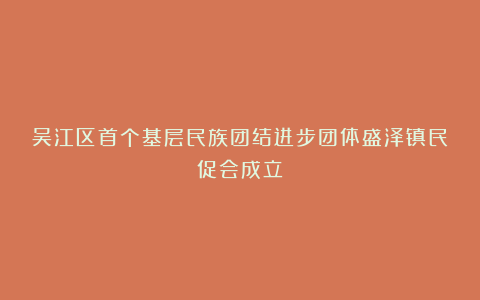 吴江区首个基层民族团结进步团体盛泽镇民促会成立