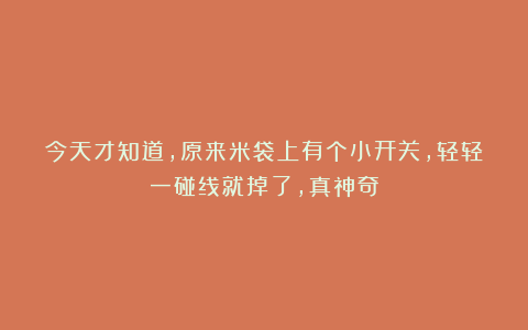 今天才知道，原来米袋上有个小开关，轻轻一碰线就掉了，真神奇