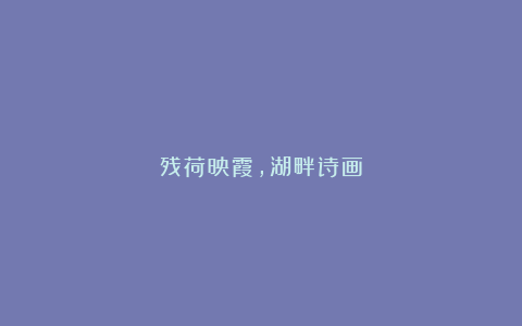 残荷映霞，湖畔诗画