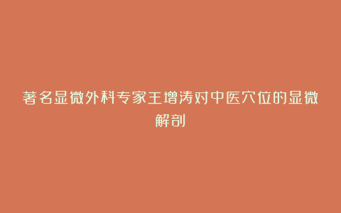 著名显微外科专家王增涛对中医穴位的显微解剖