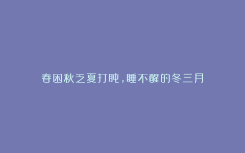 春困秋乏夏打盹，睡不醒的冬三月