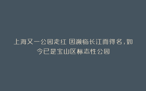 上海又一公园走红：因濒临长江而得名，如今已是宝山区标志性公园