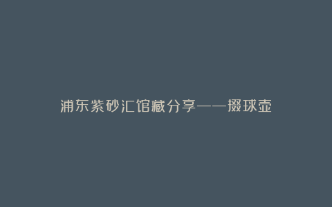 浦东紫砂汇馆藏分享——掇球壶