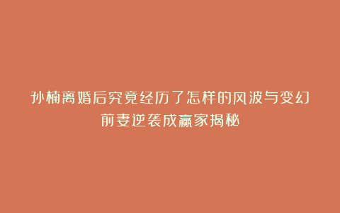 孙楠离婚后究竟经历了怎样的风波与变幻？前妻逆袭成赢家揭秘！