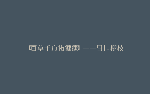 【百草千方佑健康】——91.柳枝