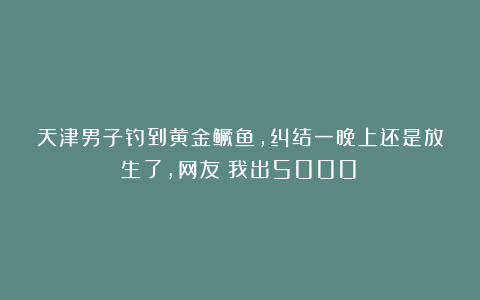 天津男子钓到黄金鳜鱼，纠结一晚上还是放生了，网友：我出5000！