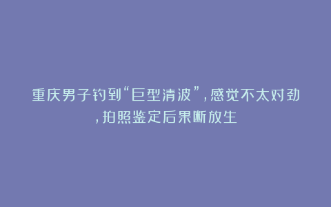 重庆男子钓到“巨型清波”，感觉不太对劲，拍照鉴定后果断放生！