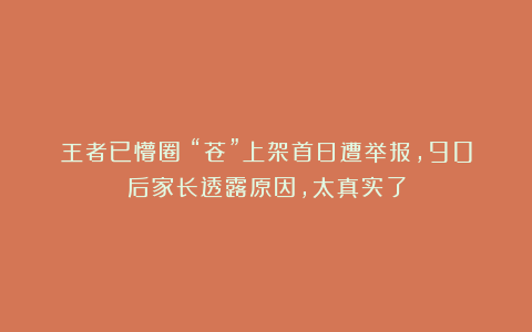 王者已懵圈！“苍”上架首日遭举报，90后家长透露原因，太真实了