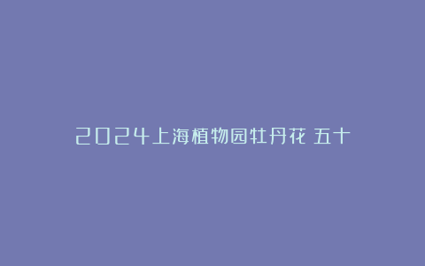 2024上海植物园牡丹花（五十）