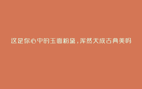 这是你心中的玉面粉黛，浑然天成古典美吗？