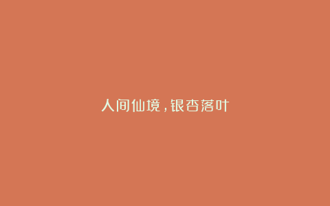 人间仙境，银杏落叶