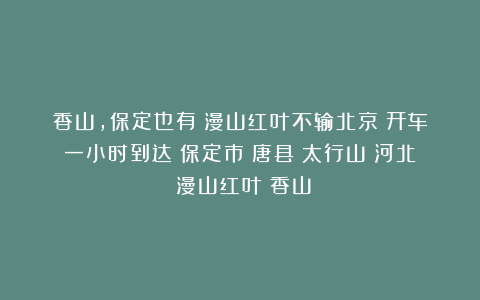 香山，保定也有！漫山红叶不输北京！开车一小时到达|保定市|唐县|太行山|河北|漫山红叶|香山