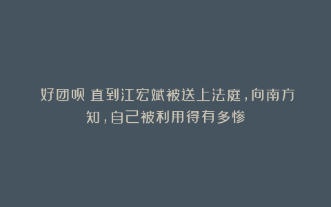 《好团员》直到江宏斌被送上法庭，向南方知，自己被利用得有多惨