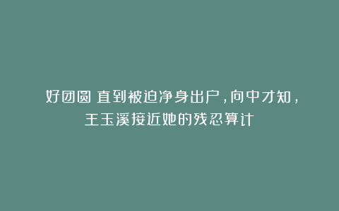 《好团圆》直到被迫净身出户，向中才知，王玉溪接近她的残忍算计