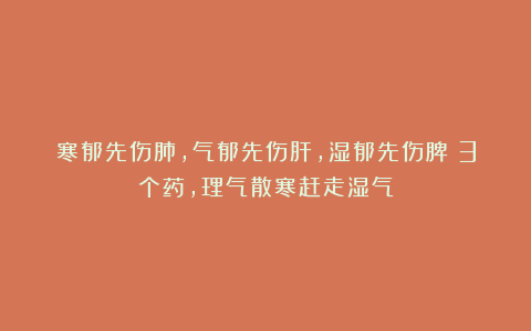 寒郁先伤肺，气郁先伤肝，湿郁先伤脾！3个药，理气散寒赶走湿气