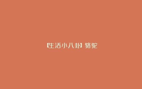 【生活小八卦】骆驼