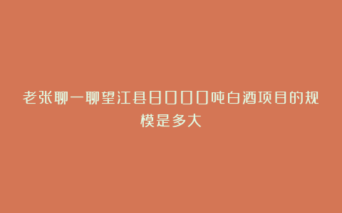 老张聊一聊望江县8000吨白酒项目的规模是多大