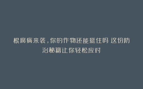 根腐病来袭，你的作物还能挺住吗？这份防治秘籍让你轻松应对！